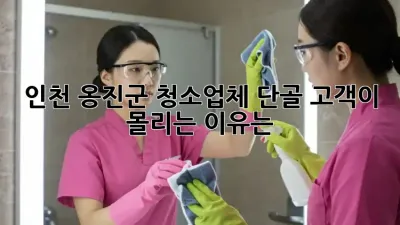 인천 옹진군 청소업체, 단골 고객이 몰리는 이유는?
