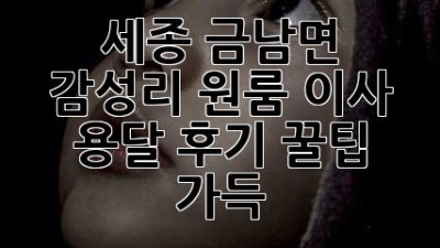 세종 금남면 감성리 원룸 이사 용달 후기: 꿀팁 가득!