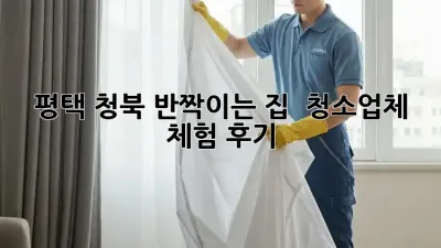 ✨ 평택 청북 반짝이는 집 ✨ 청소업체 체험 후기 🏡